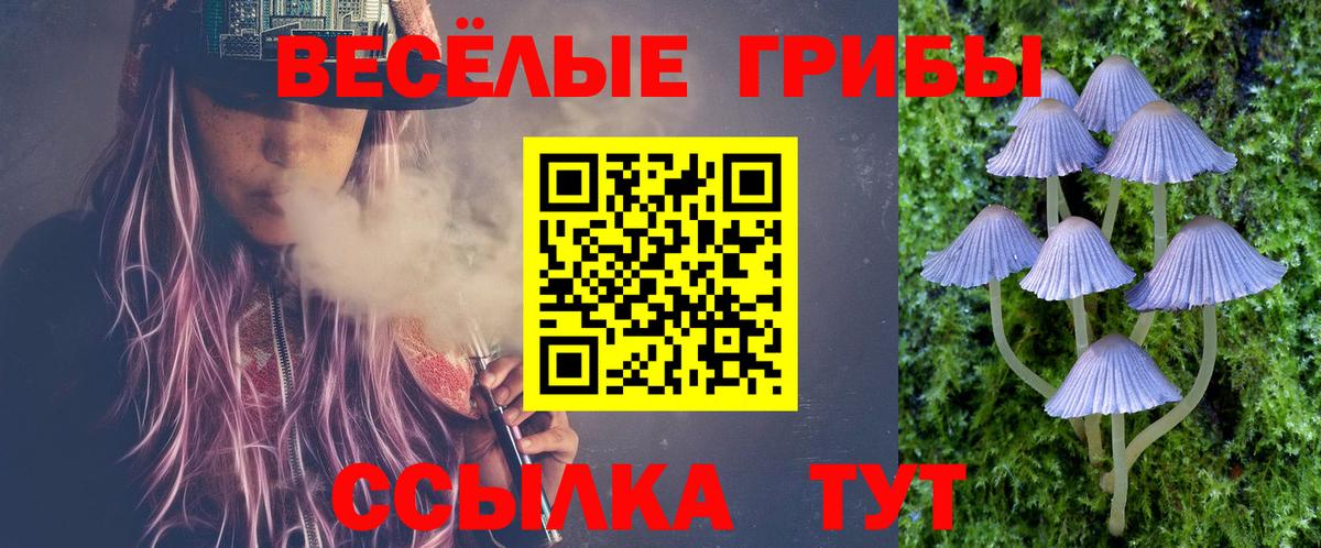 Галлюциногенные грибы мухоморы  Вход с VPN  где можно купить   Галлюциногенные грибы Cubensis  Магадан 