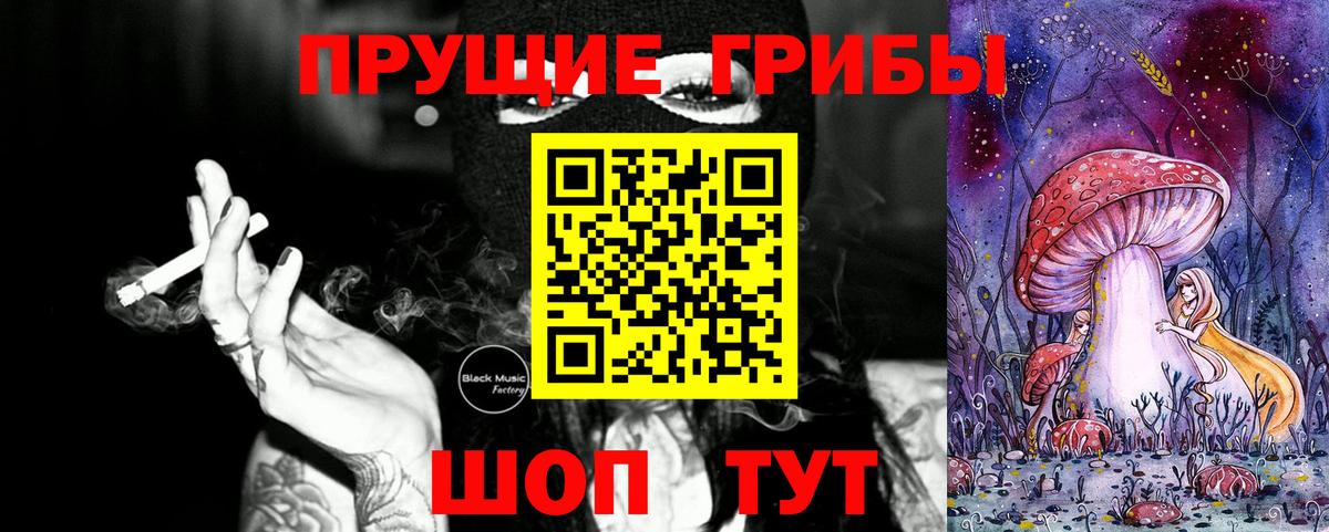 Псилоцибиновые грибы Cubensis Магадан